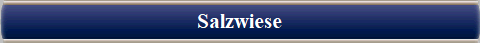 Salzwiese